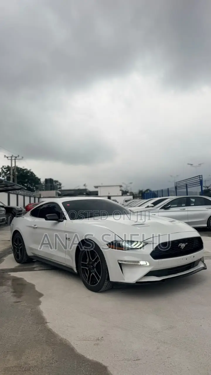 Ford Mustang GT Fastback 2019 White