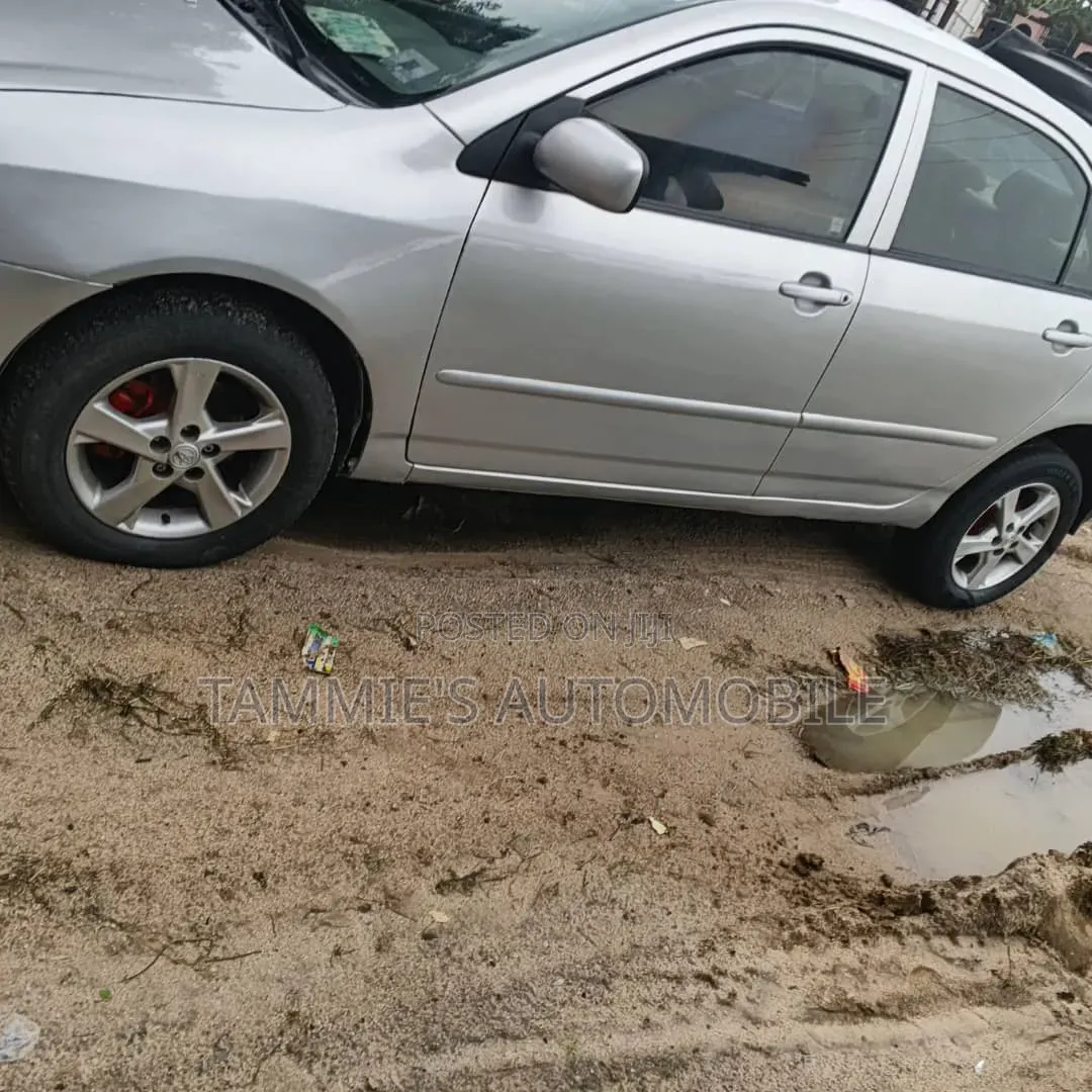 Toyota Corolla LE 2007 Silver