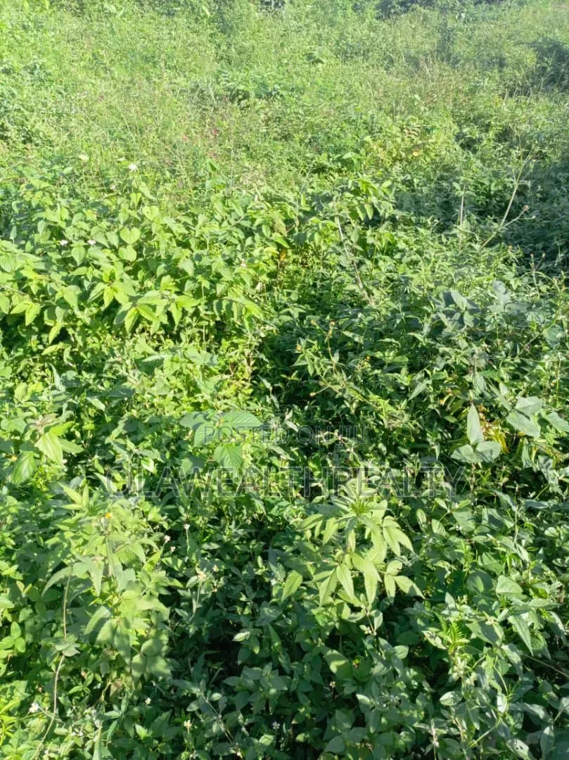 A Plot of Land (900sqm) Farmland at Kwali