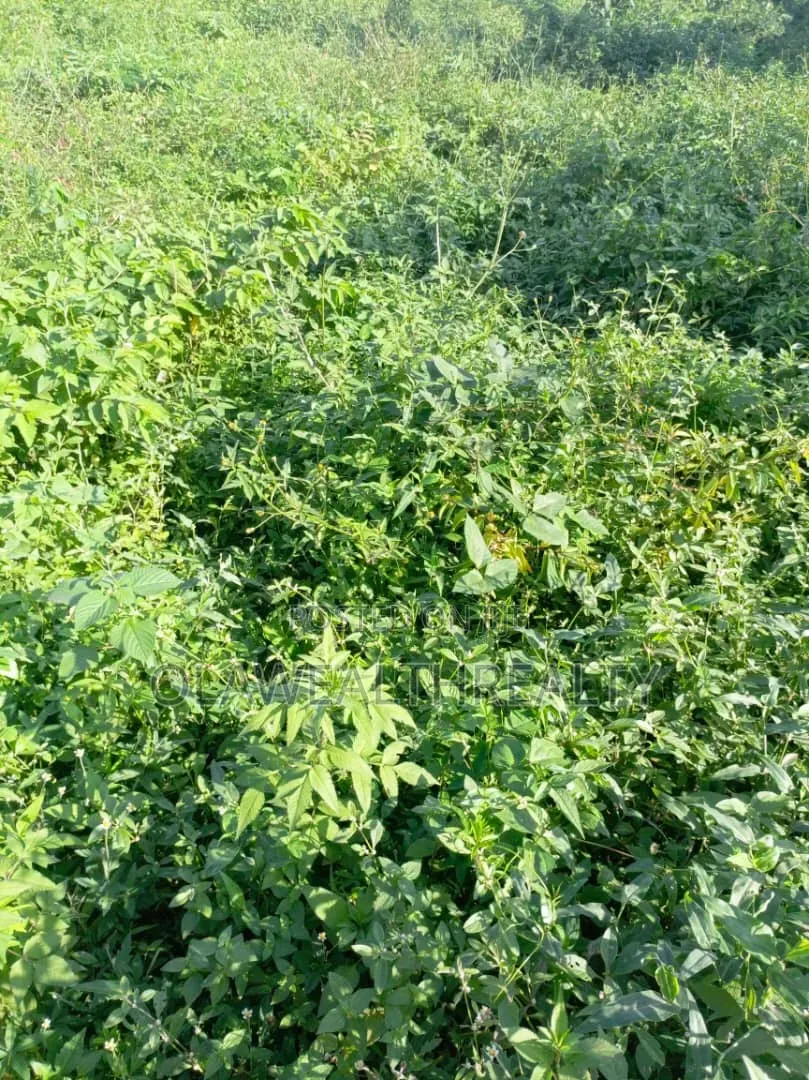 A Plot of Land (900sqm) Farmland at Kwali