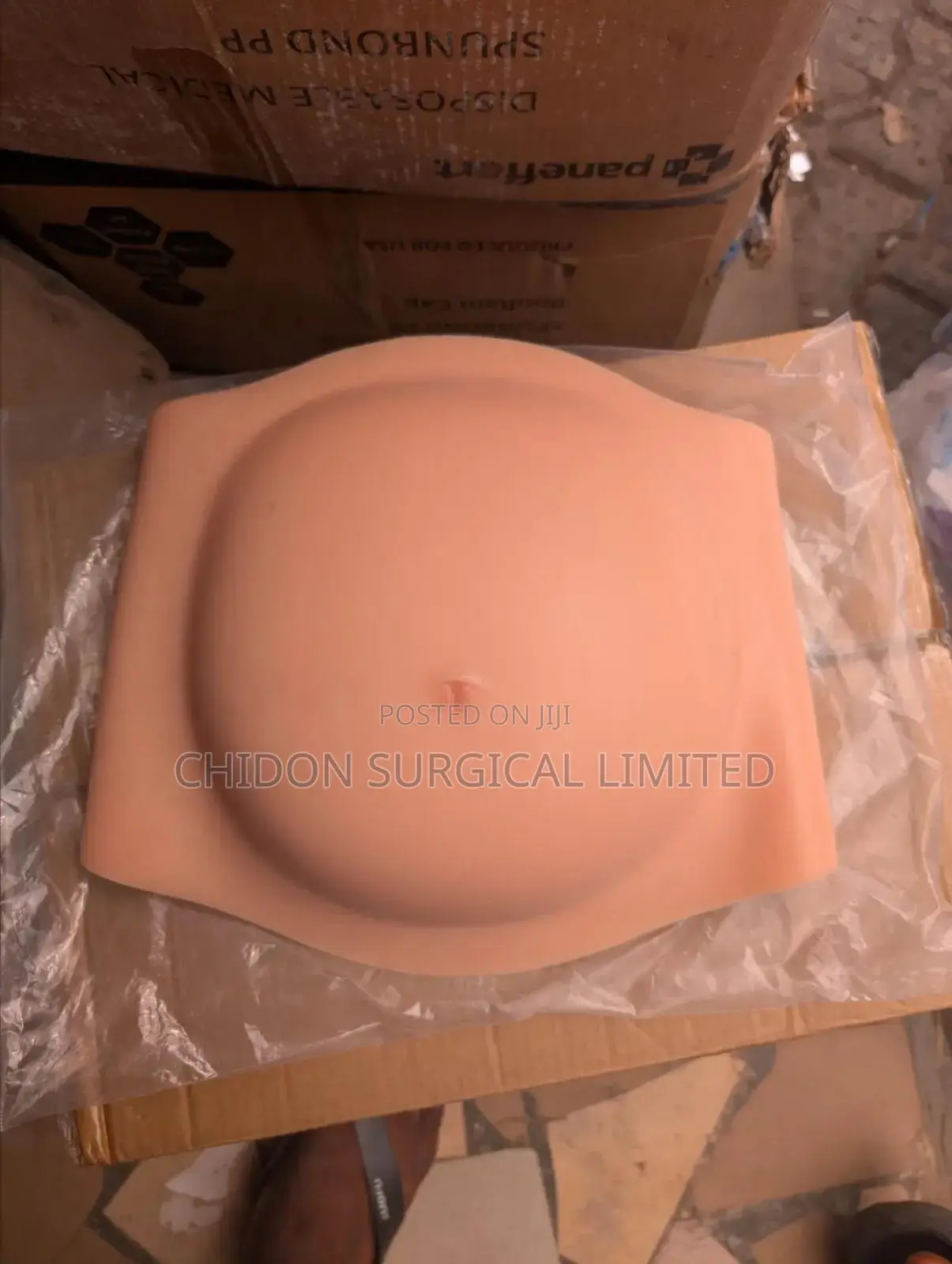 Artificial Pregnancy 4 to 6 Months