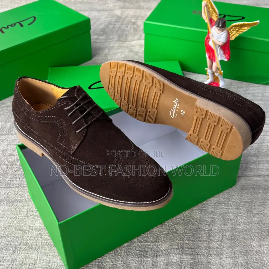 Clarks Suede Shoes