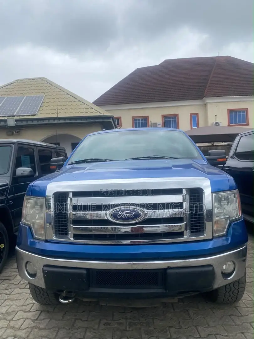 Ford F-150 FX4 2010 Blue