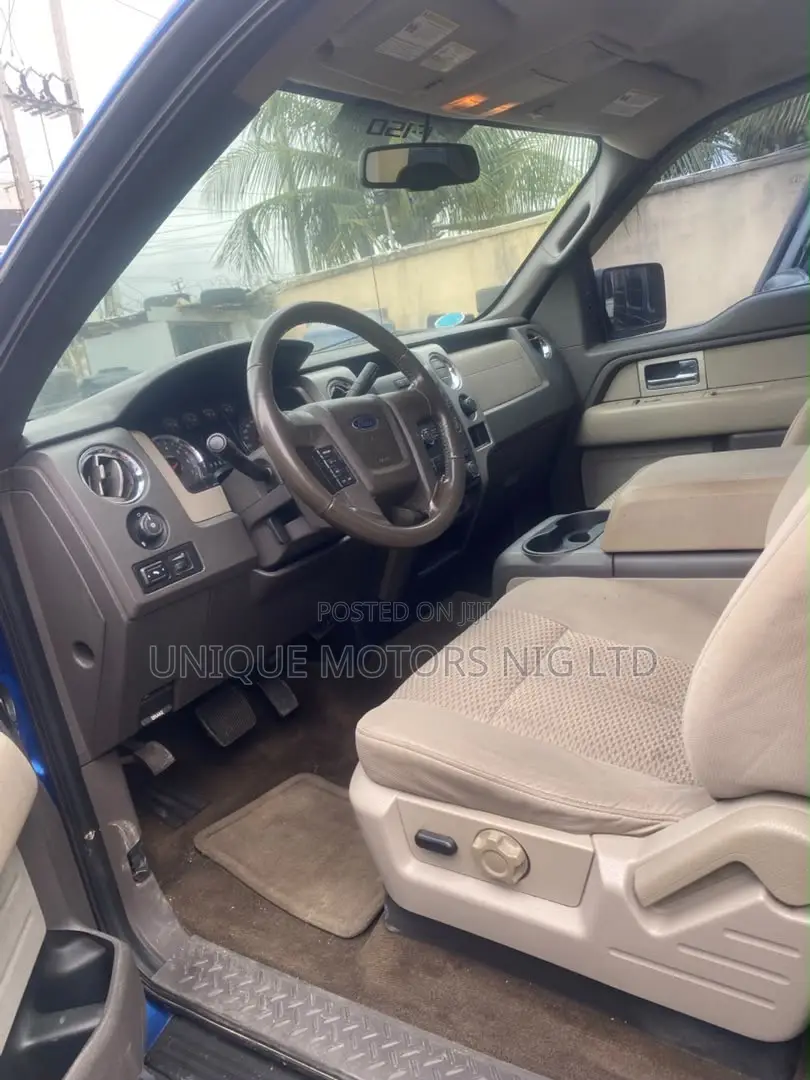 Ford F-150 FX4 2010 Blue