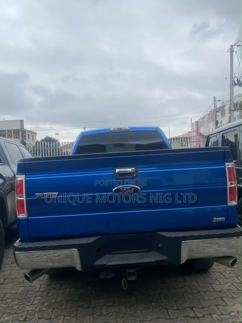 Ford F-150 FX4 2010 Blue