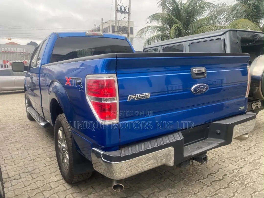 Ford F-150 FX4 2010 Blue