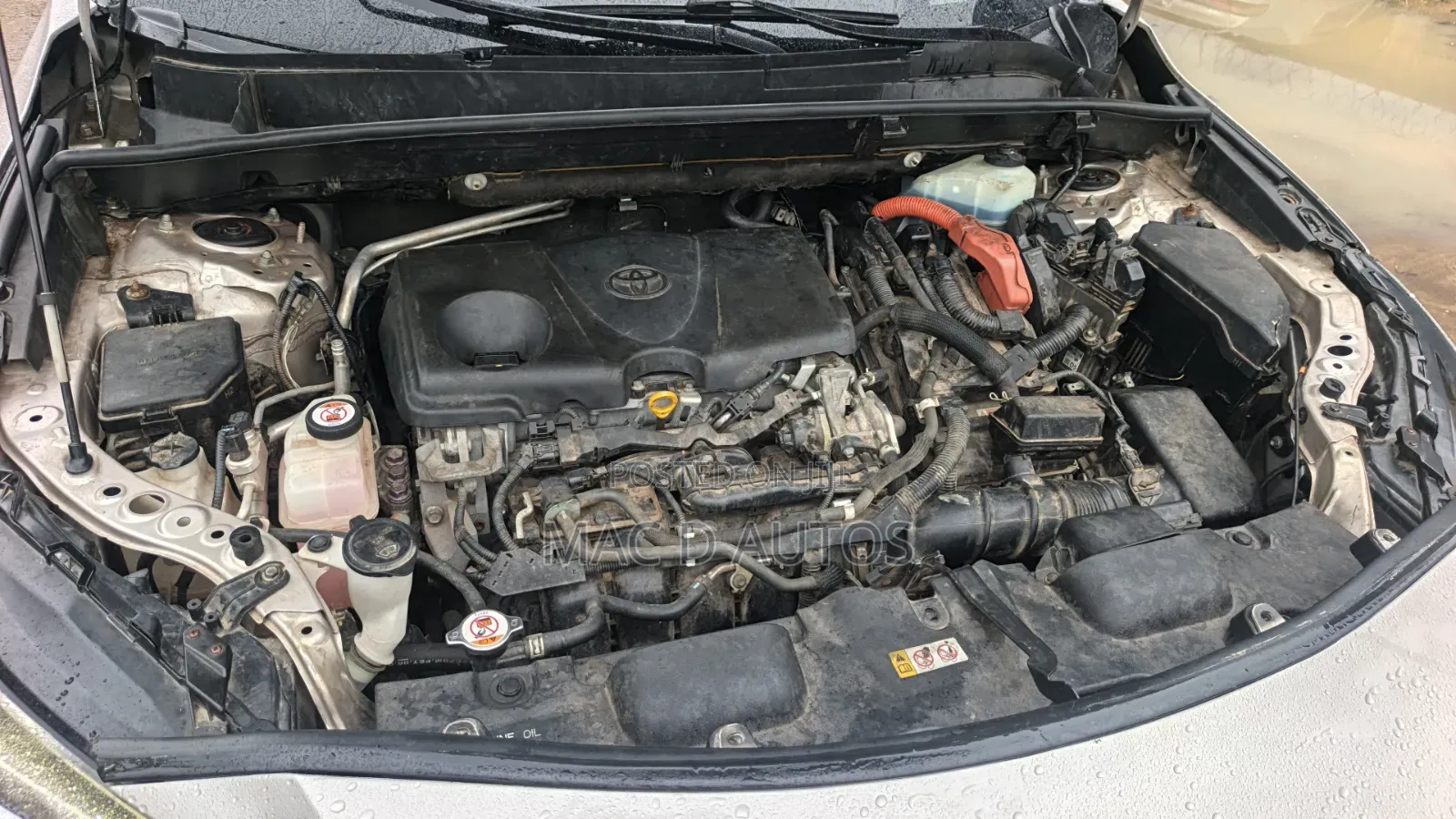 Toyota Venza 2024 Brown