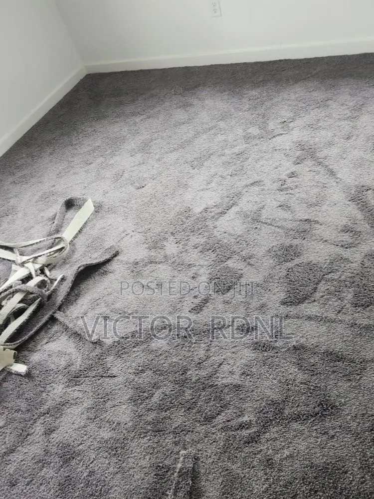 Elegant Wall to Wall Rug Design