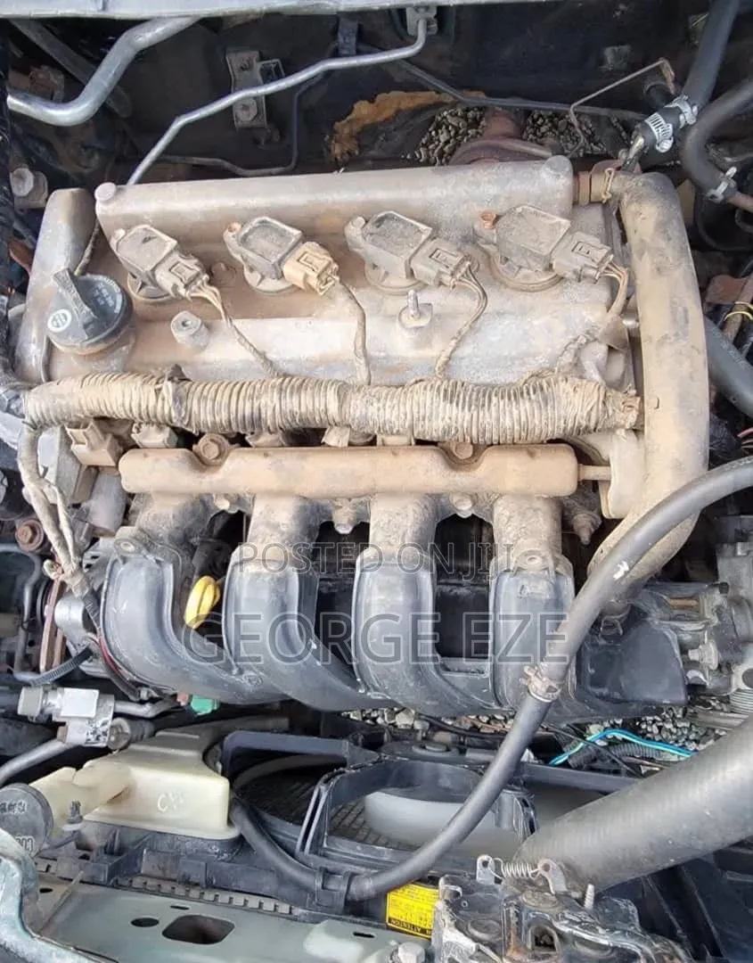 Toyota Yaris 2005 Green