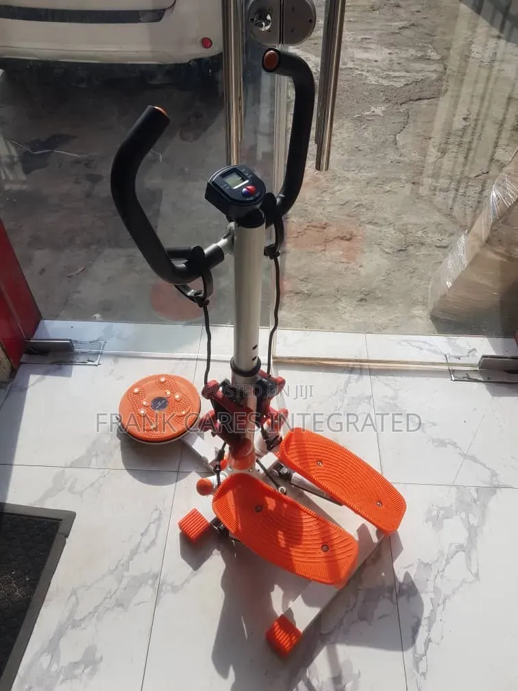 Standing Stepper With Twister and Digital Display