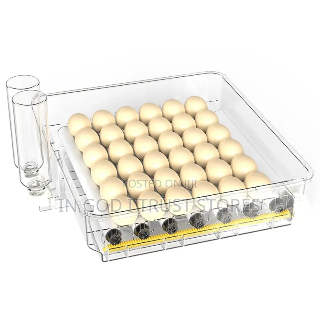 HHD WONEGG New Arrival Poultry Equipment 56 Eggs Incubator AC DC Power