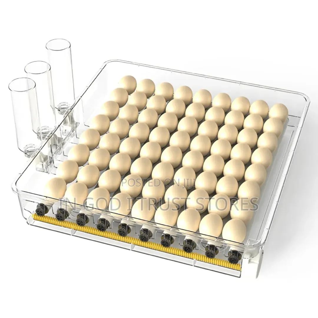 HHD WONEGG New Arrival Poultry Equipment 56 Eggs Incubator AC DC Power