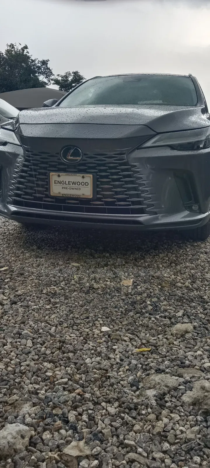 Lexus RX 350 2023 Gray