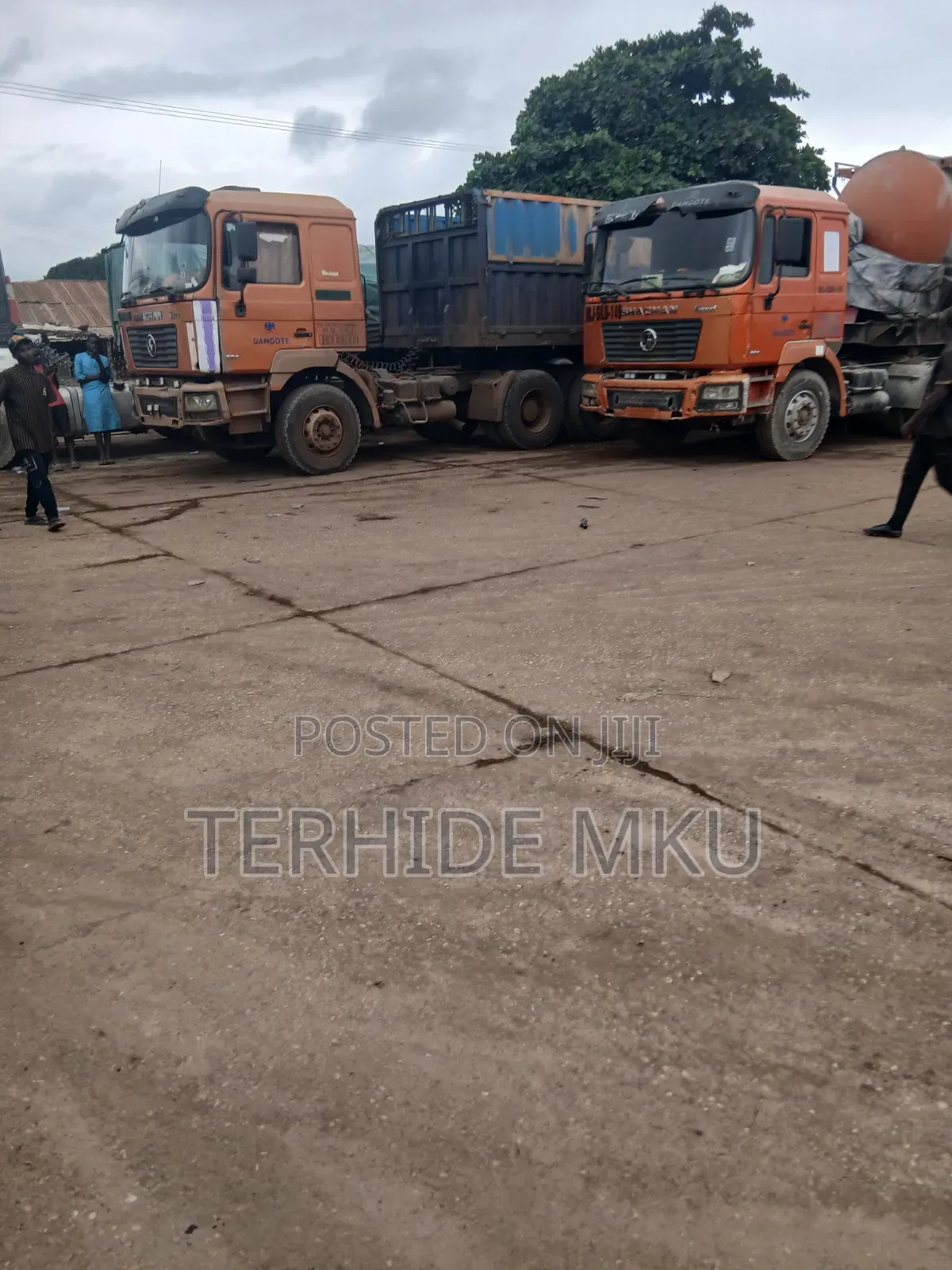 Dangote and Bua Best Dealer Nationwide