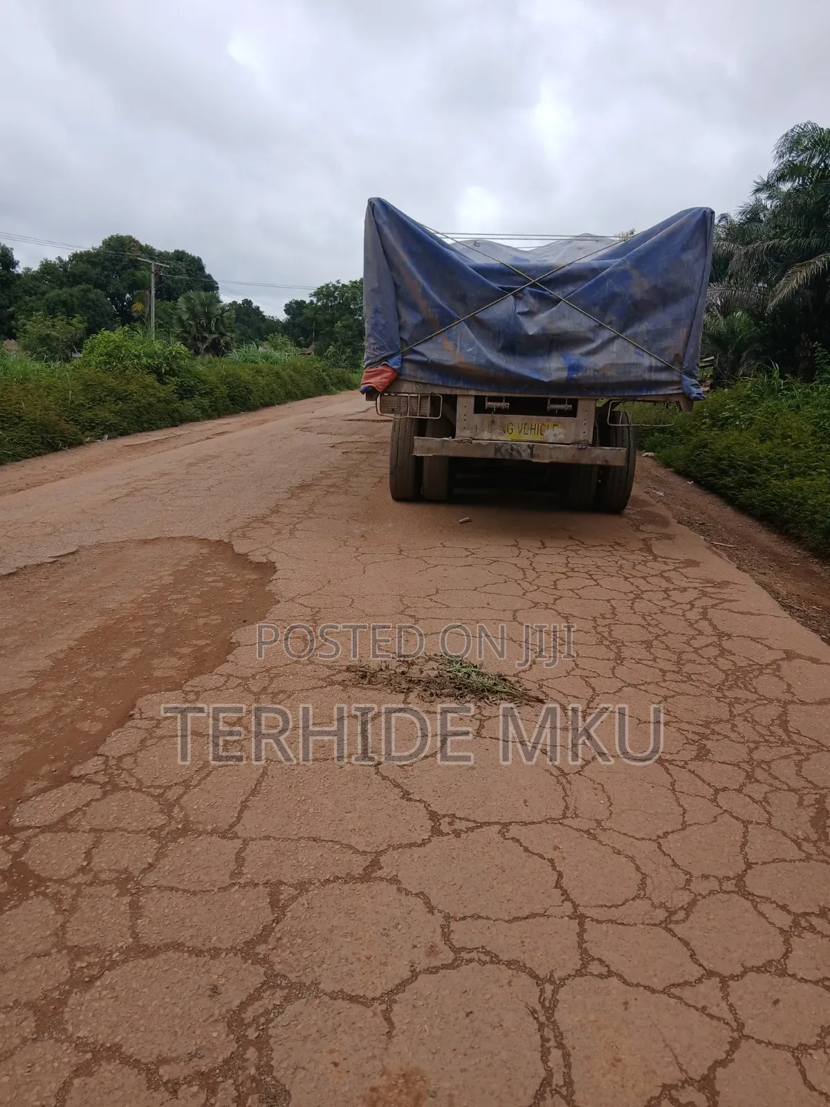 Bua Cement Depot and Dangote Major Distributor