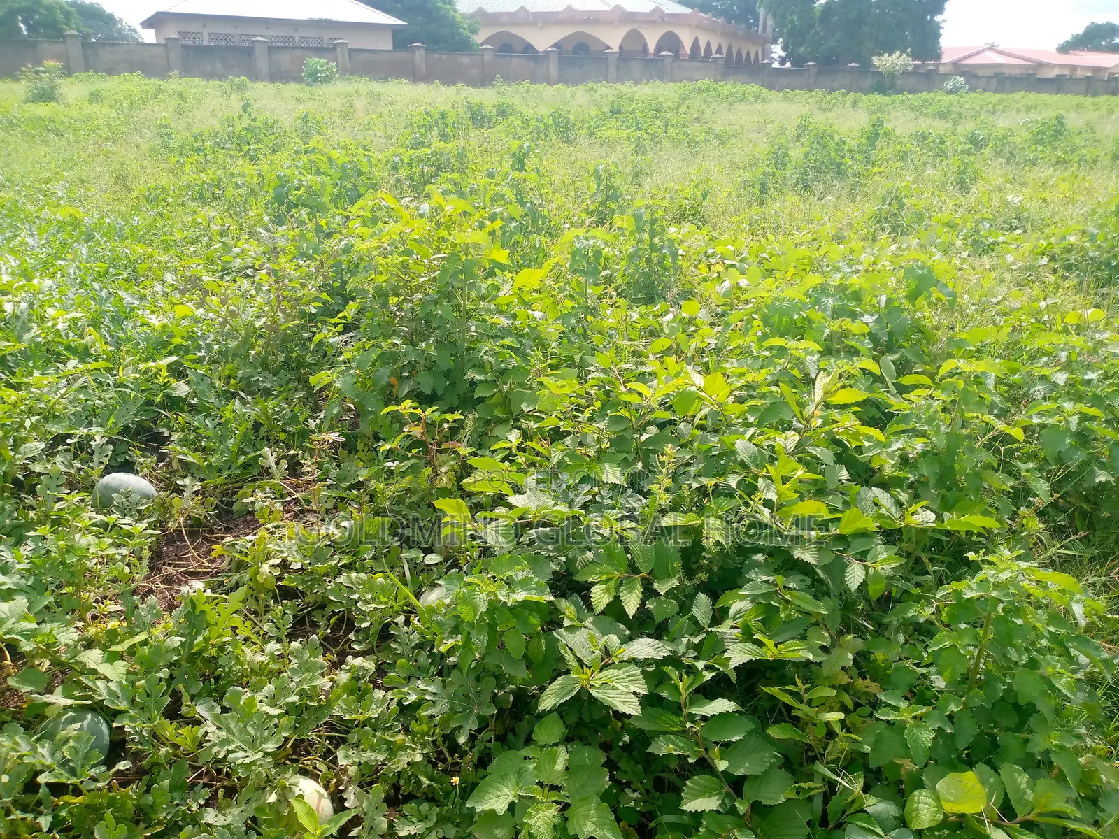 4 Hectare of Farmland for Sale in Kuje District. Abuja - Nigeria