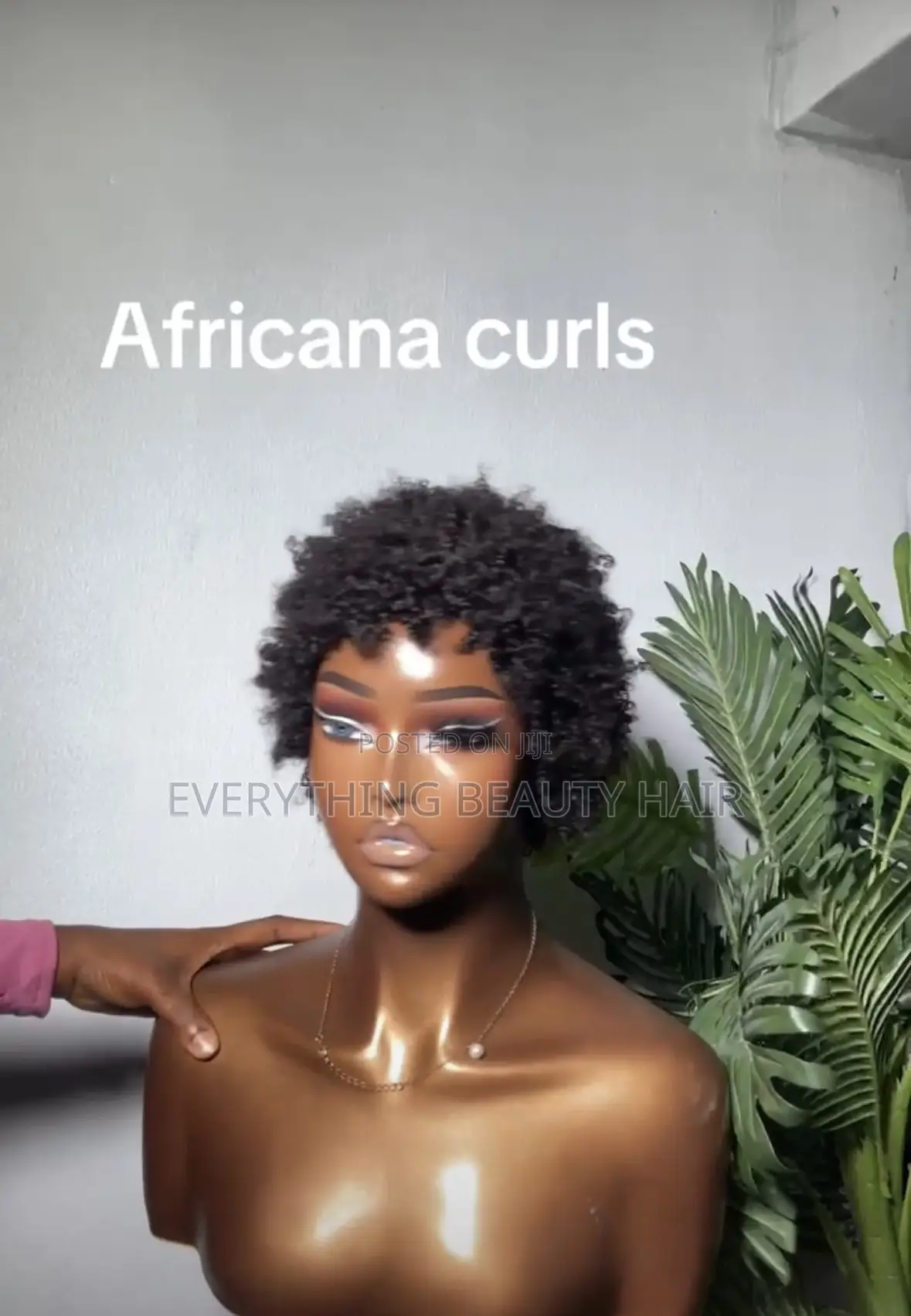 African Curls Wig