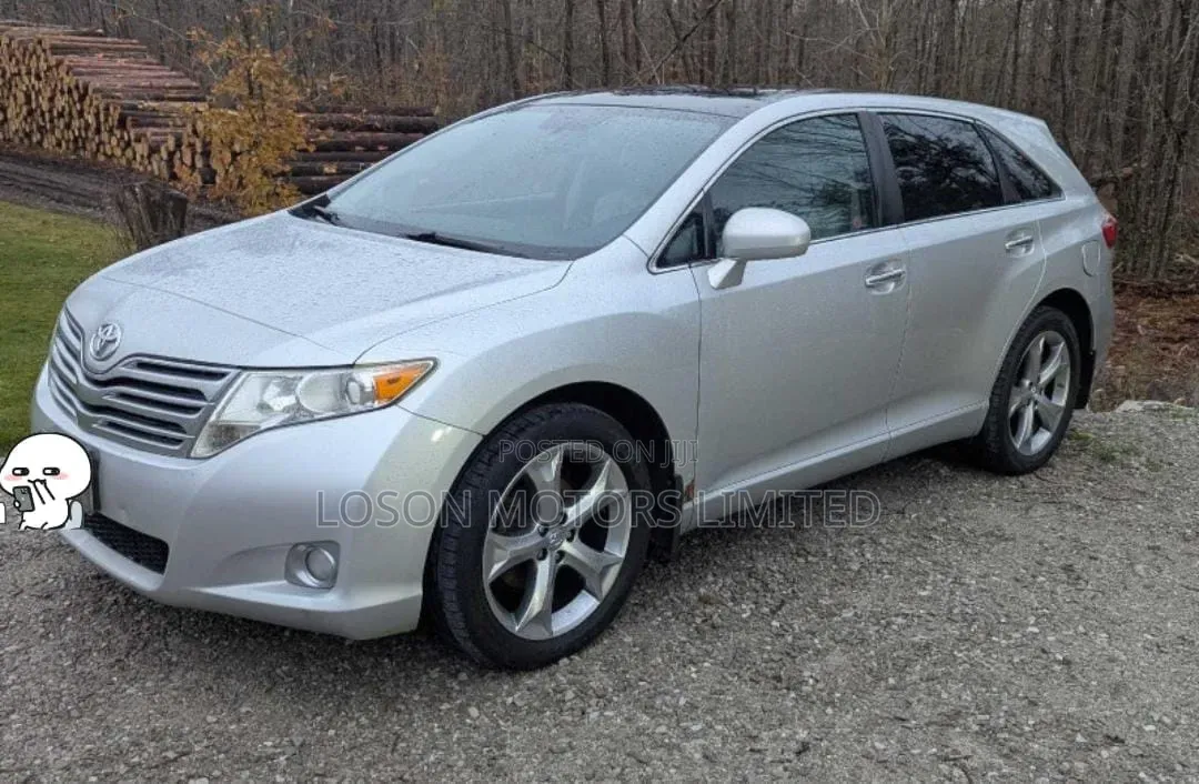 Toyota Venza 2009 Silver