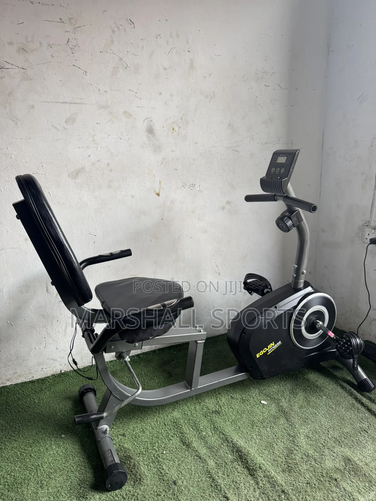 Recumbent Bike (Black)