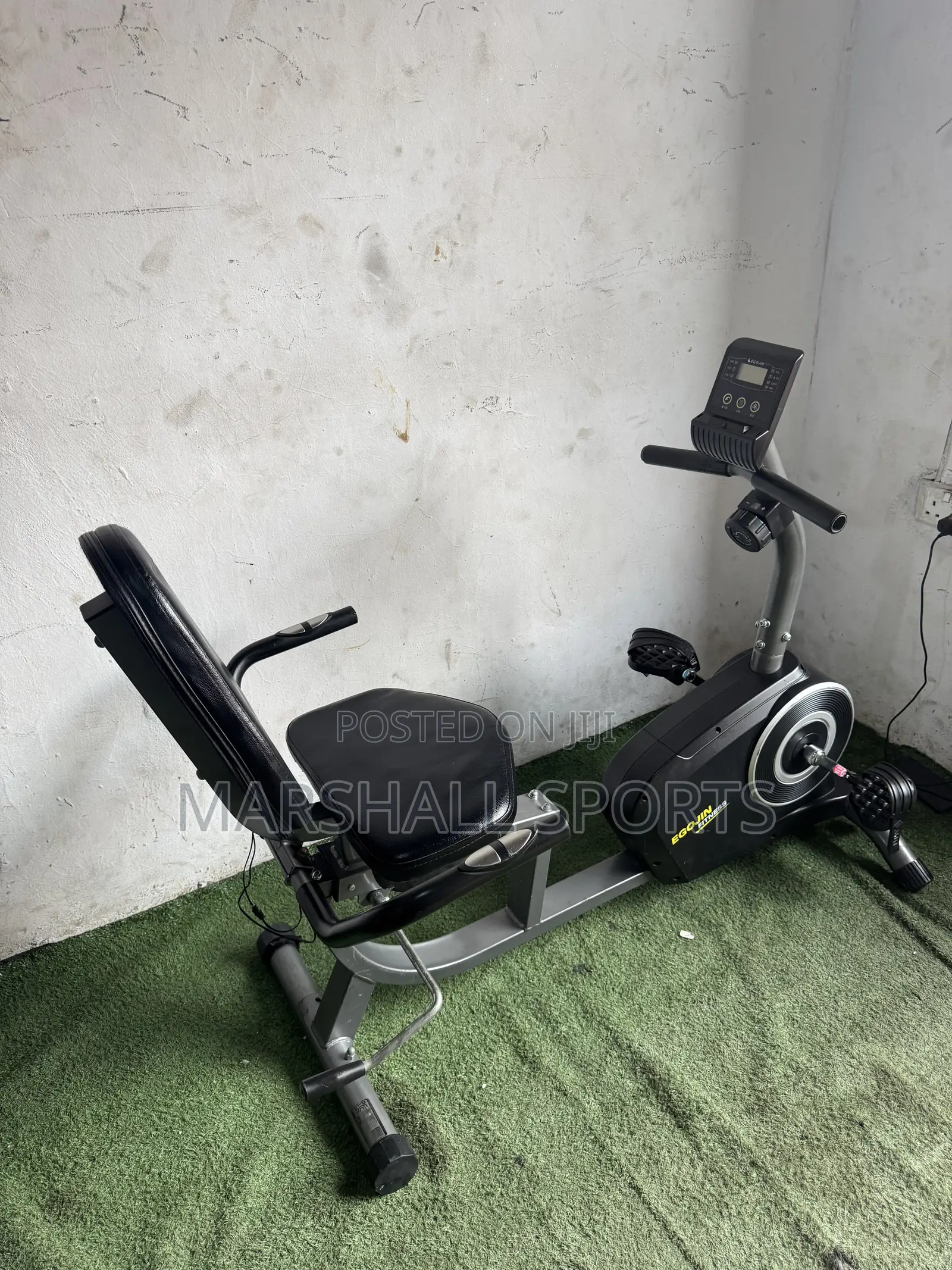 Recumbent Bike (Black)