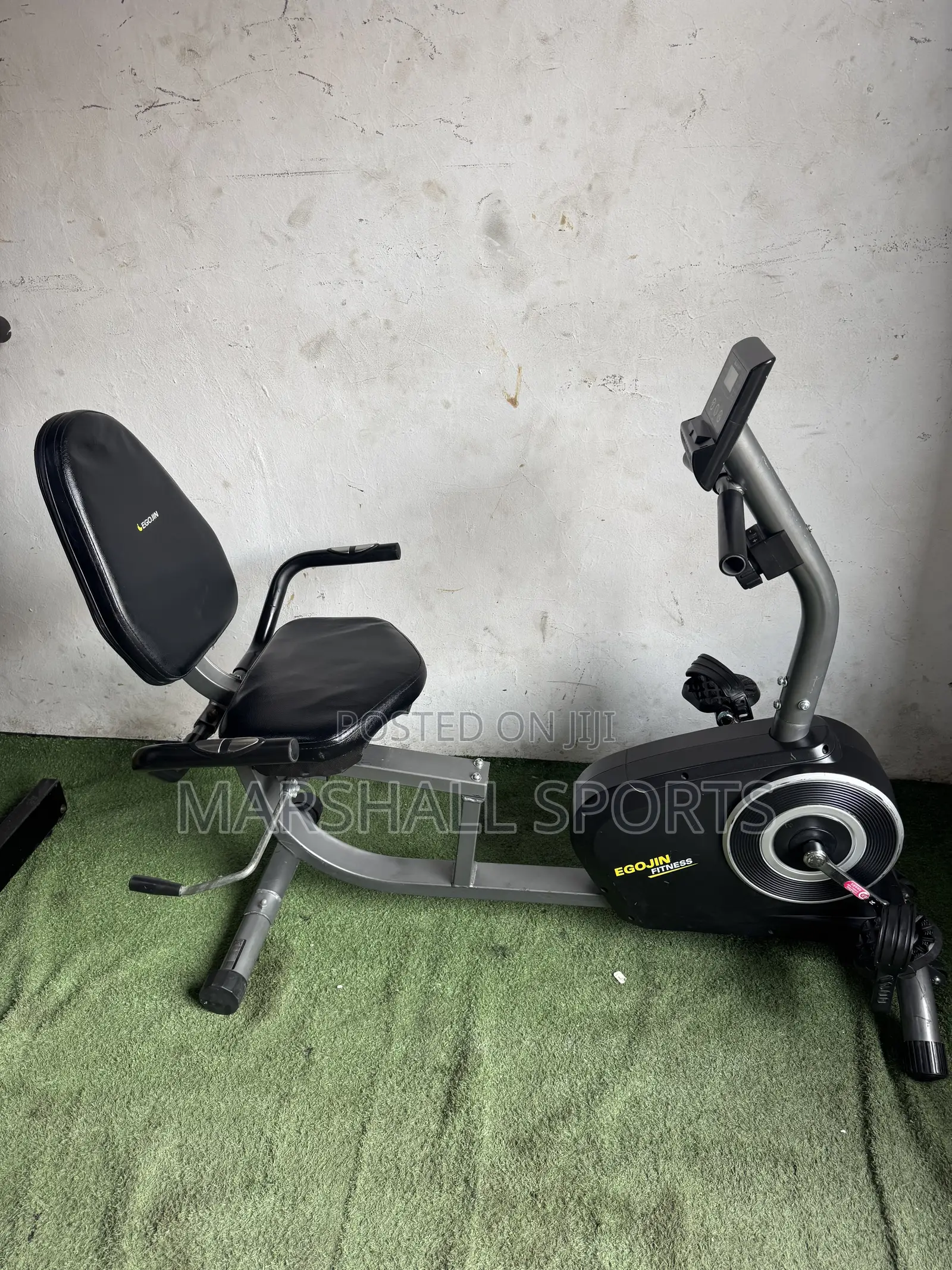 Recumbent Bike (Black)