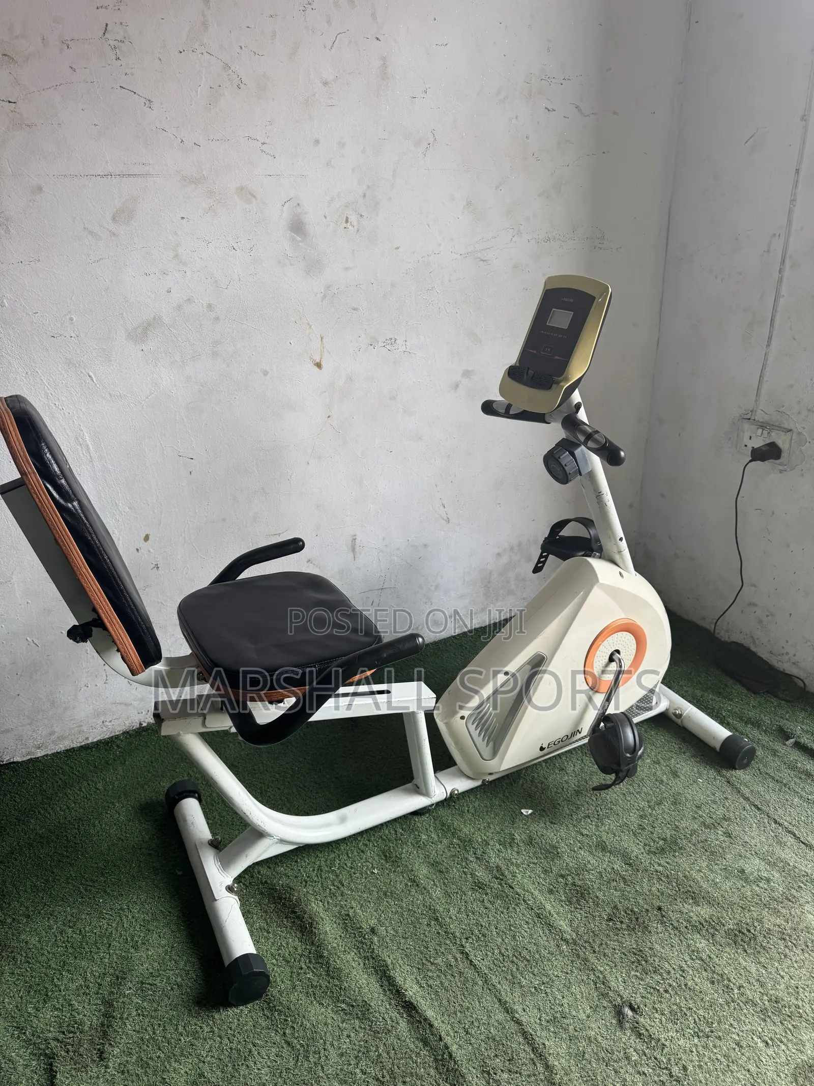 Recumbent Bike (White)