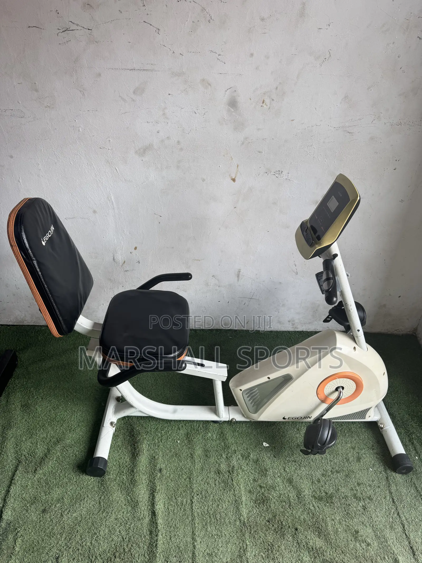 Recumbent Bike (White)