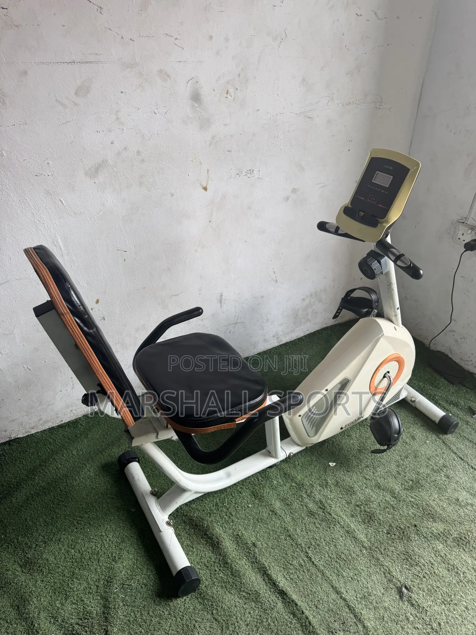 Recumbent Bike (White)