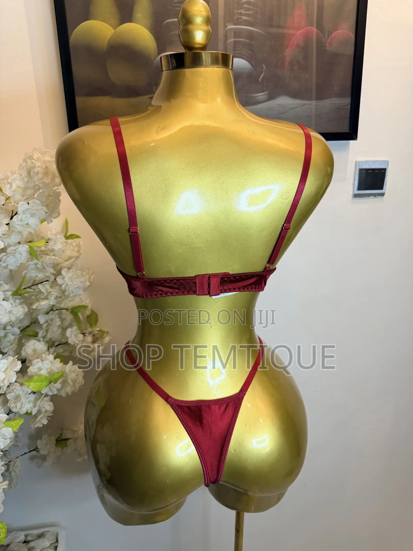 Women’s Sexy 2 Piece Bra and Panty Lingerie Set