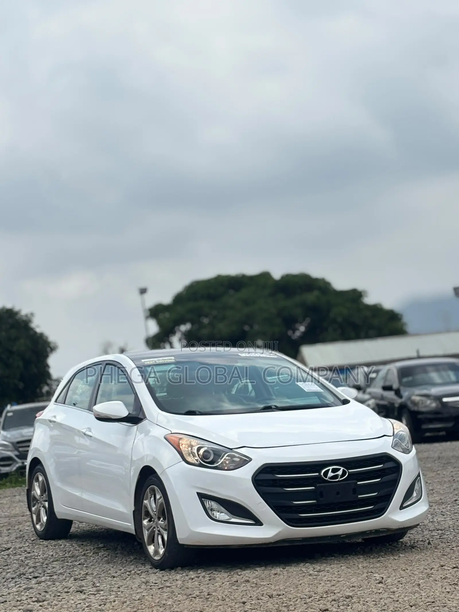 Hyundai Elantra 2014 White