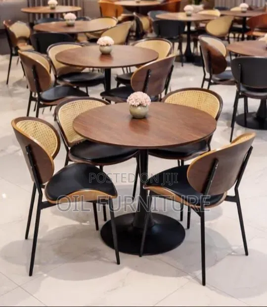 Premium Bentwood Dining Chair for Restaurants, Cafes Offices