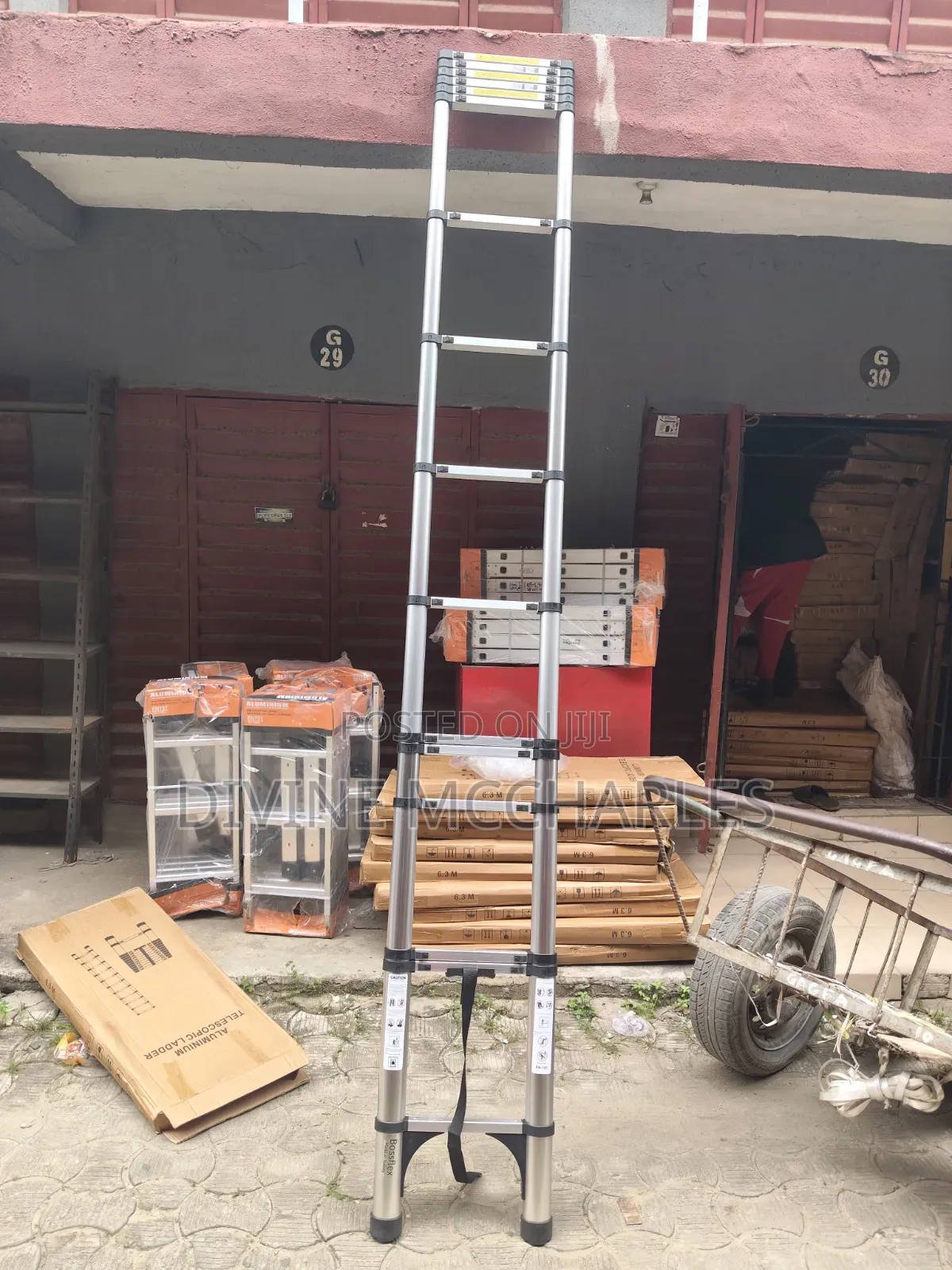 Telescopic Ladder