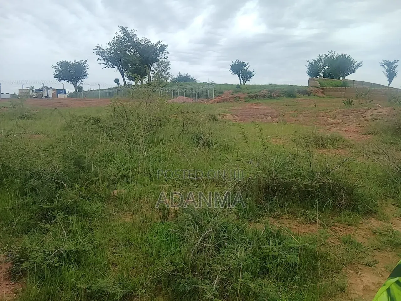 100 Hectares at Wasa