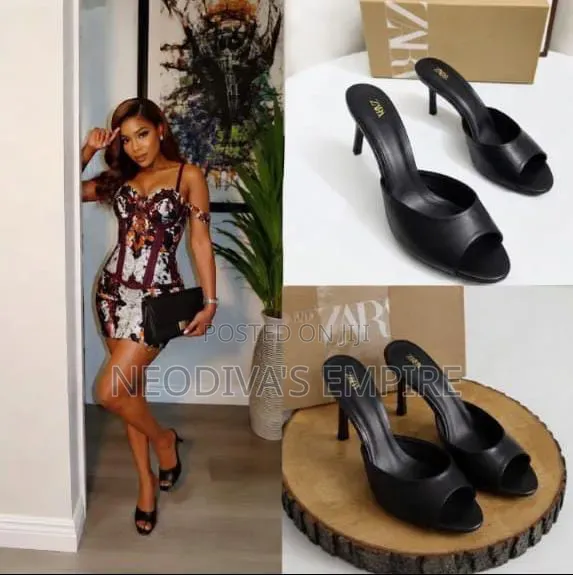 Zara Pointed-Toe Mule Heels Price by 1Pcs