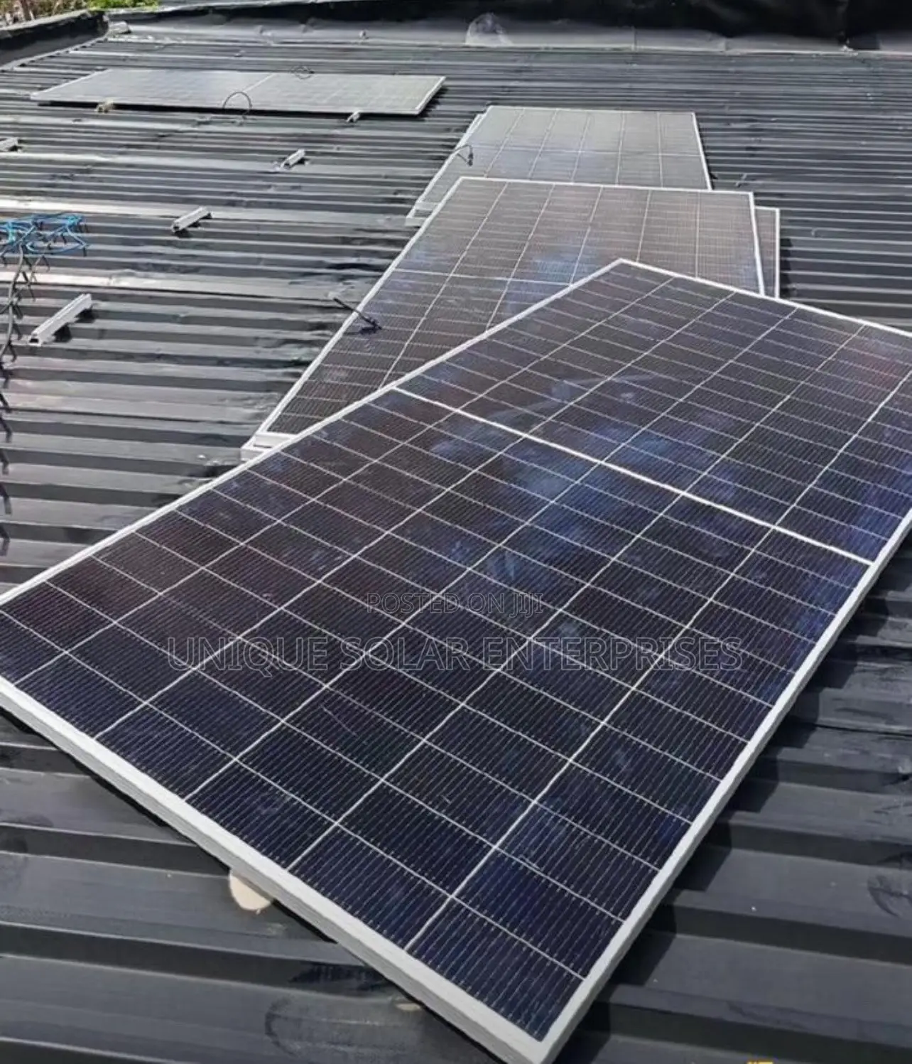 Longi Solar Panels
