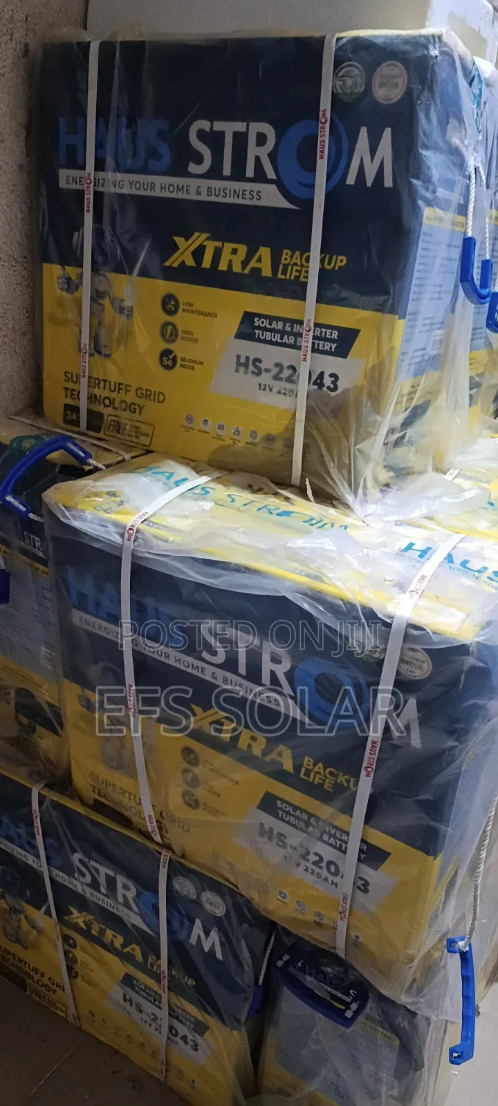Haus Strom 220Ah 12V Tubular Battery