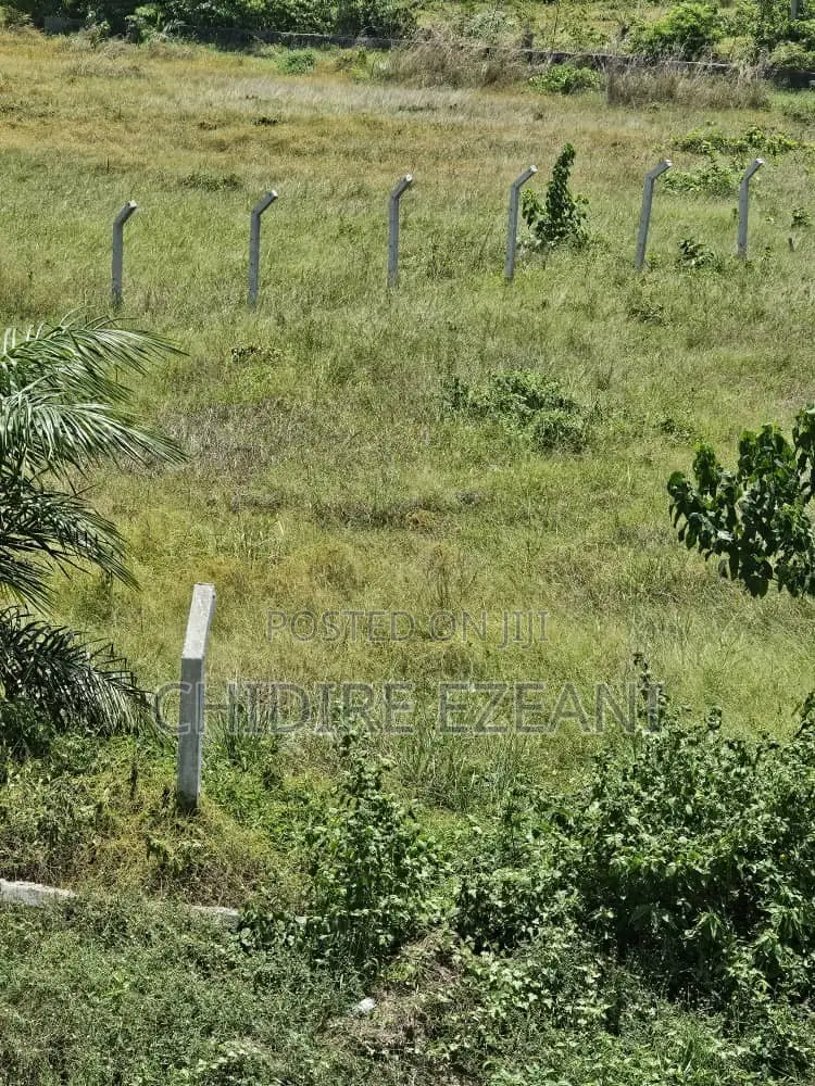 Concrete Fencing Poles