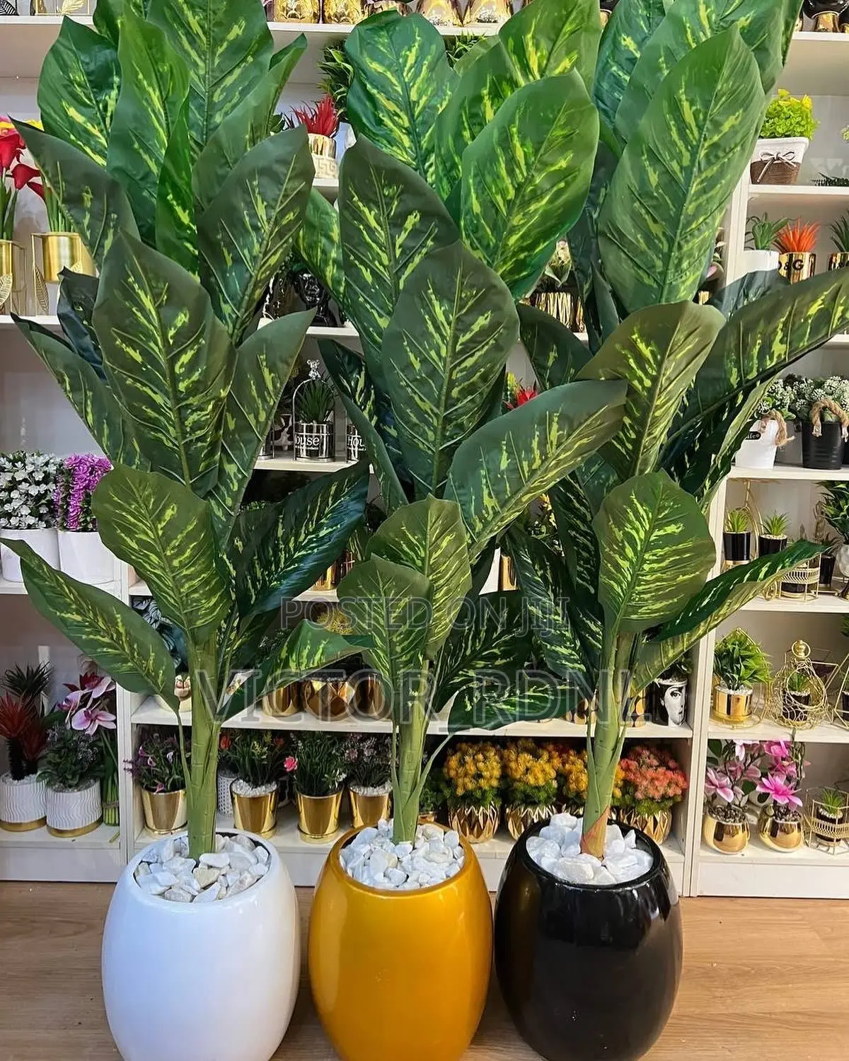 Presidential Flower Pot Designs
