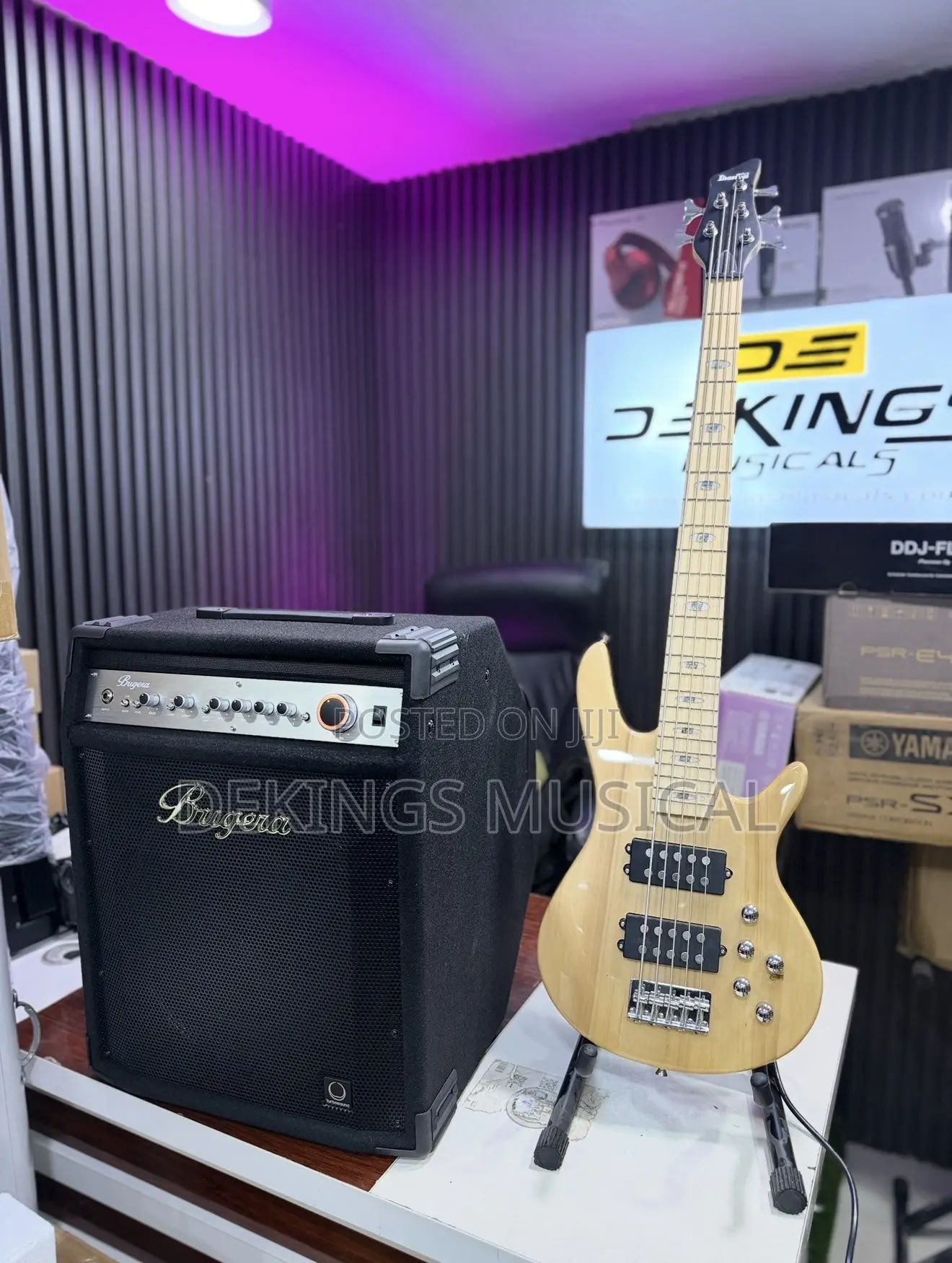Profesional Bugeria Bass Guitar Combo BXD15