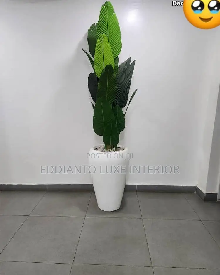 Home Accessories
