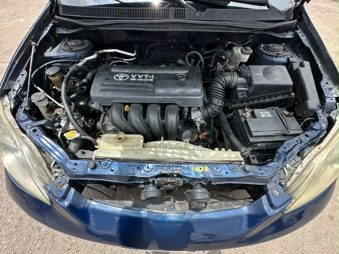 Toyota Matrix XR Hatchback FWD (1.8L 4cyl 4A) 2008 Blue