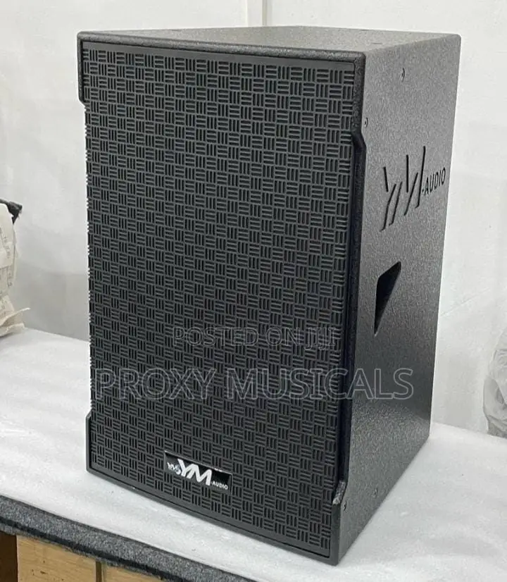 YM-Audio 15-Inch Speaker