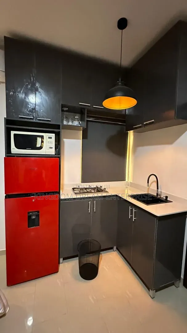 Furnished Studio Apartment in Lekki Phase 1 Lagos for rent