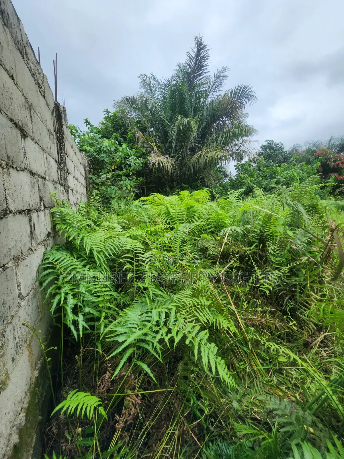 A Very Good Land of 400 SQM for Sale at Abijo