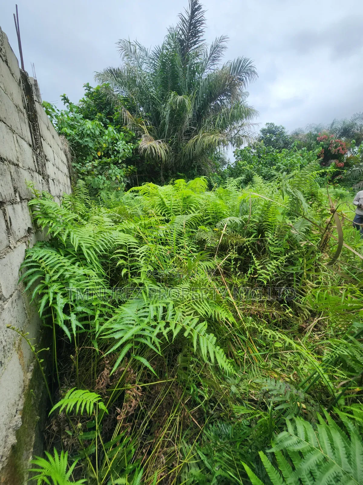 A Very Good Land of 400 SQM for Sale at Abijo