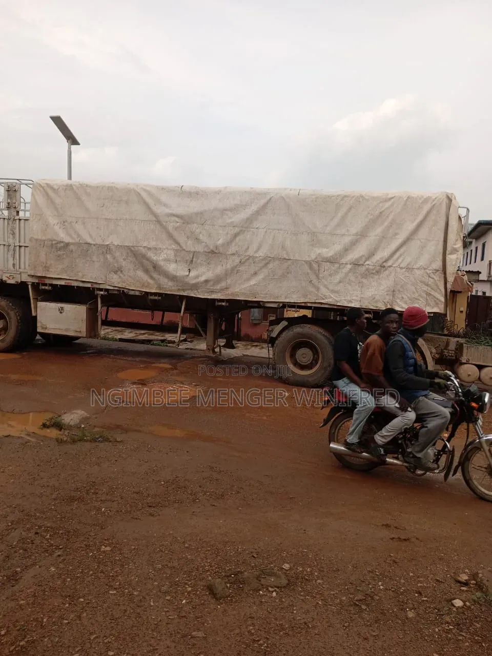 Bua Cement Dealer and Dangote Nationwide