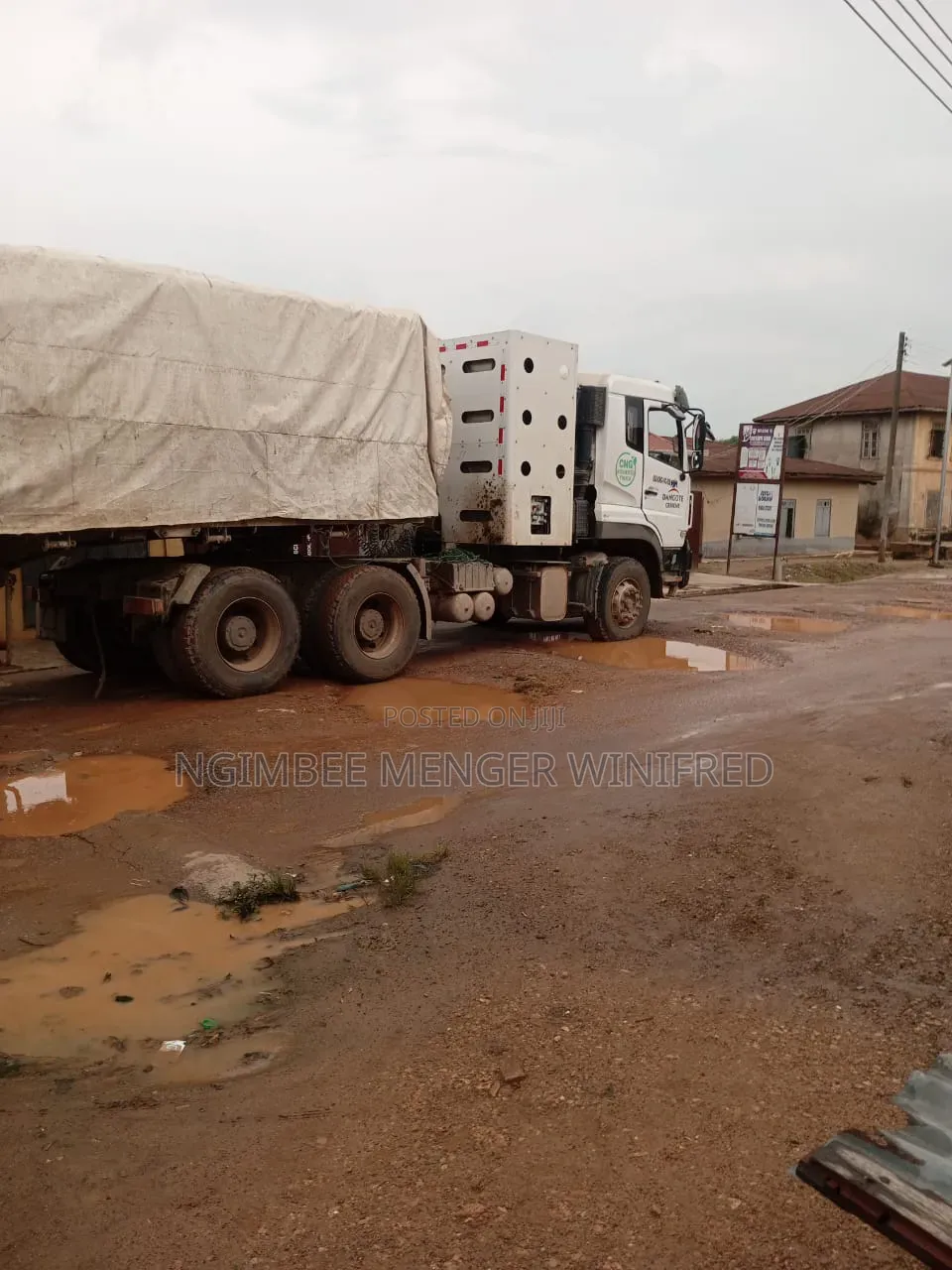 Bua Cement Dealer and Dangote Nationwide
