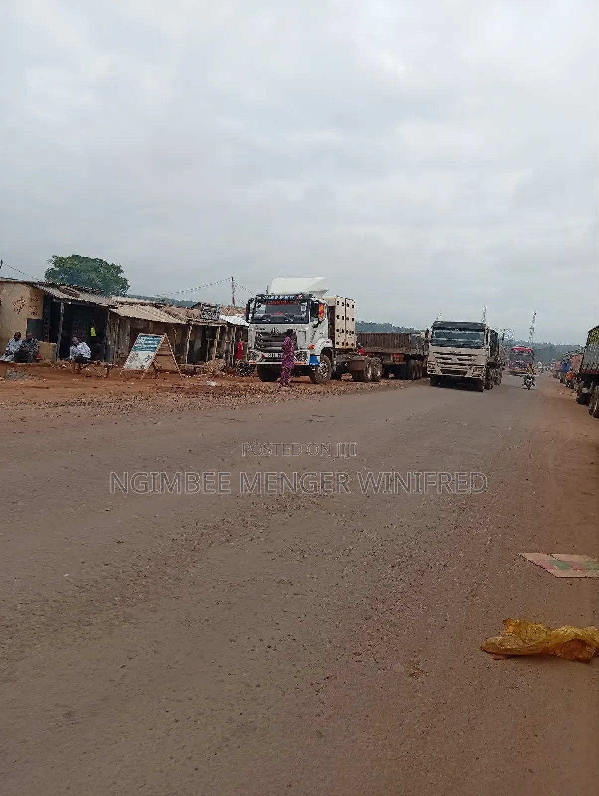 Large Distributor of Dangote and Bua Cement Nationwide