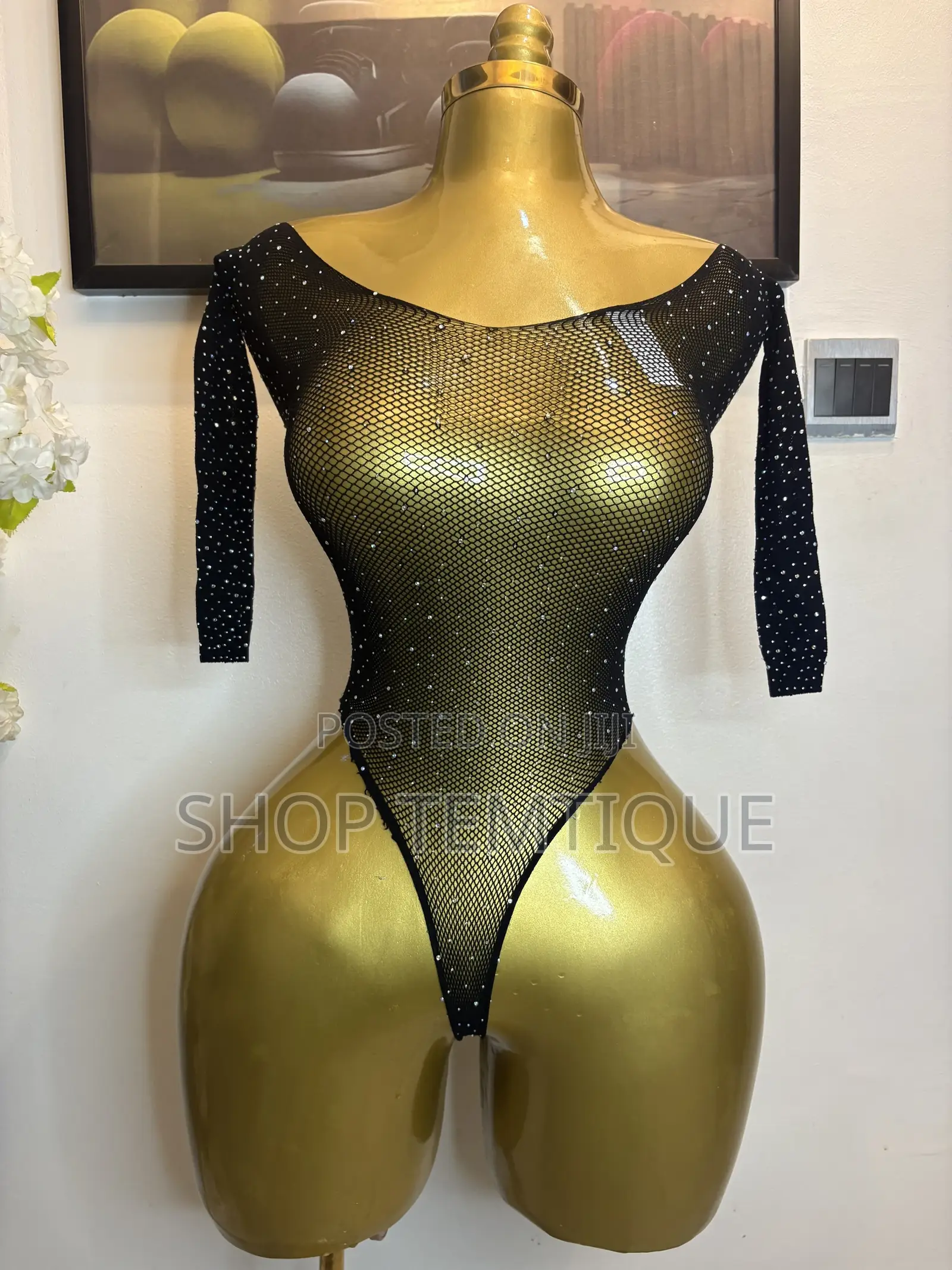 Sexy Women’s Sheer Meshy Shimmering Bodysuit