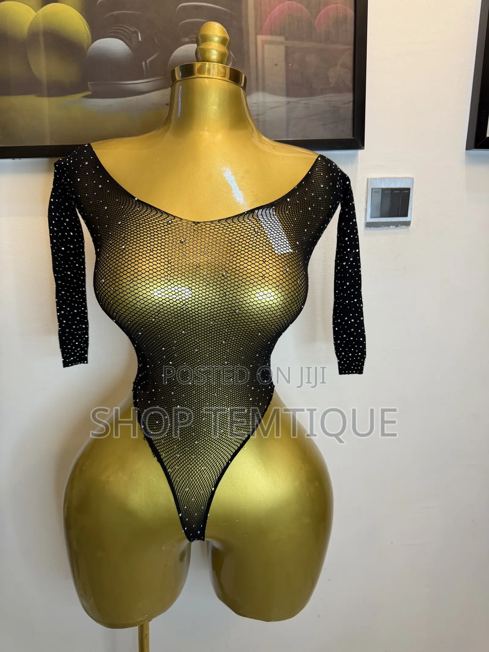 Sexy Women’s Sheer Meshy Shimmering Bodysuit